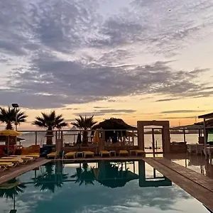 book here